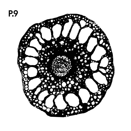 Přírodopis_motiv9.jpg Přírodopis_motiv9.jpg